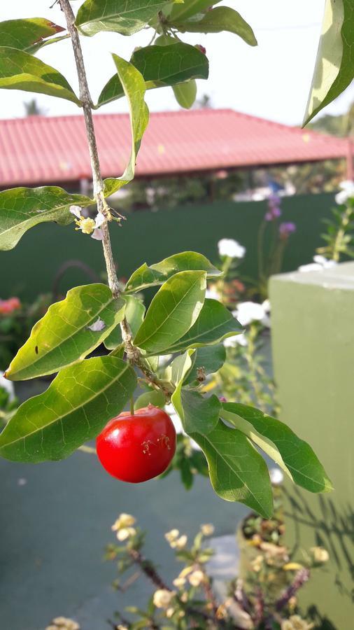 Heavenly Homestay Kochi Dış mekan fotoğraf