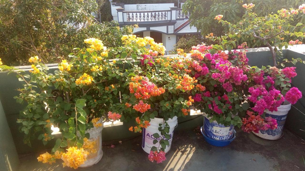 Heavenly Homestay Kochi Dış mekan fotoğraf