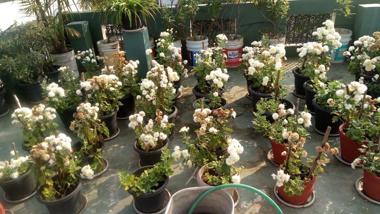 Heavenly Homestay Kochi Dış mekan fotoğraf
