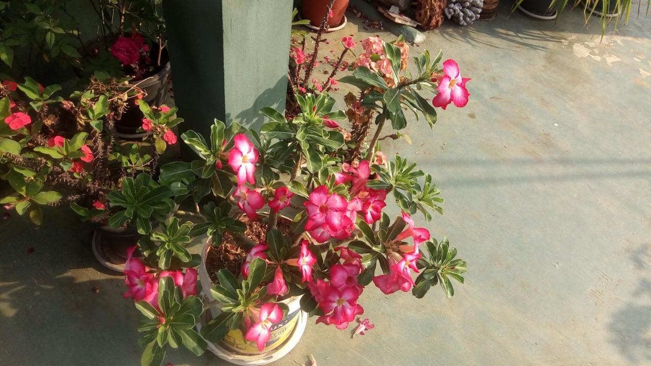Heavenly Homestay Kochi Dış mekan fotoğraf